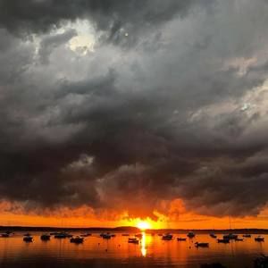 Meet your Posher, Joshua